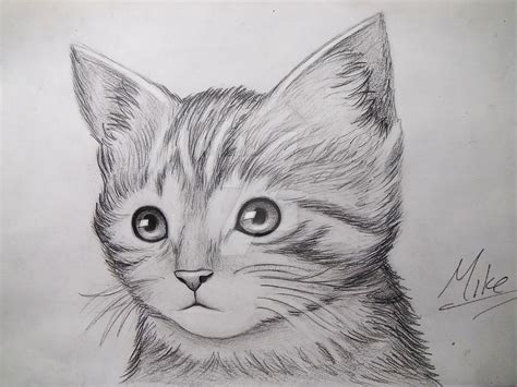 Cute Kitty Drawing By Mcorderroure On Deviantart