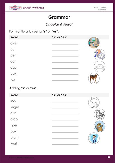 Class 1 English Worksheet Singular Plural