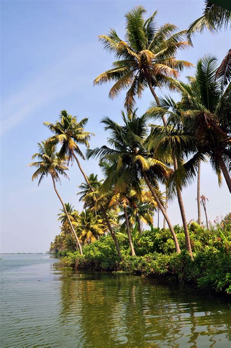 Backwater Waters Kerala With Images Beautiful Nature Kerala