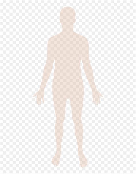 Human Body Silhouette Svg Hd Png Download Vhv