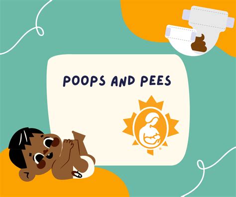 Poops And Pees La Leche League Canada Breastfeeding Support And