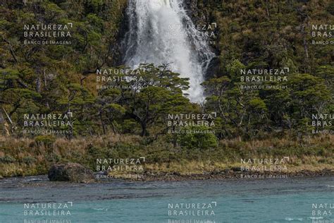 Natureza Brasileira Banco De Imagens Reserva Nacional Alacalufes