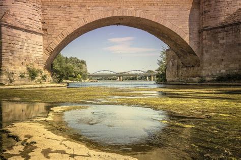 Stone Arch Bridge On Ebro River And Aquatic Plants Floating On The
