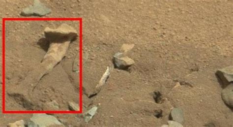 Nasa successfully landed its new robotic rover on mars thursday, a mission to directly study if there was ever life on the planet.creditcredit.bill what else will nasa do in 2021? Mars-Rover "Curiosity" fotografierte einen "Knochen" auf ...