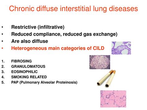 Interstitial Lung Disease Pathophysiology