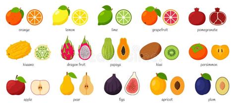 Large Collection Of Tropical Exotic Citrus Fruits With Names Set Of