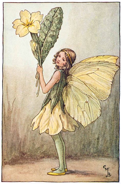 Pin On Flower Fairies