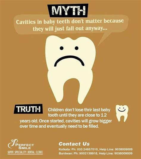 myth and fact on dental care dental fun facts dental facts dental hygienist school