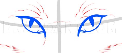 How To Draw Fox Eyes Step By Step Drawing Guide By Dawn Dragoart
