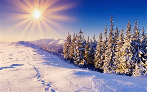 Winter Sunlight Wallpapers Wallpaper Cave