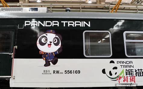 Take A Look At Panda Themed Train In Southwest China