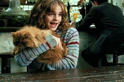 The Fairy Blog Hermione Granger Weekend On Freeform Special Harry Potter Weekend Event