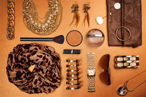 Modern Woman Accessories Stock Photo Image Of Leather 109806478