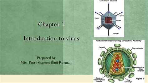 Chapter 1 Introduction To Virus