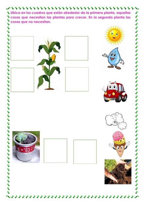 The Worksheet Is Filled With Pictures Of Plants