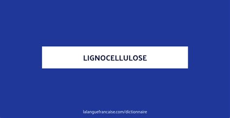 Définition De Lignocellulose Dictionnaire Français