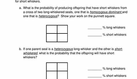 genetics and punnett square practice worksheets