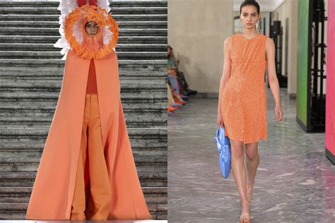 Color Of The Year 2024 Wgsn Apricot Crush Color Palettes 59 Off