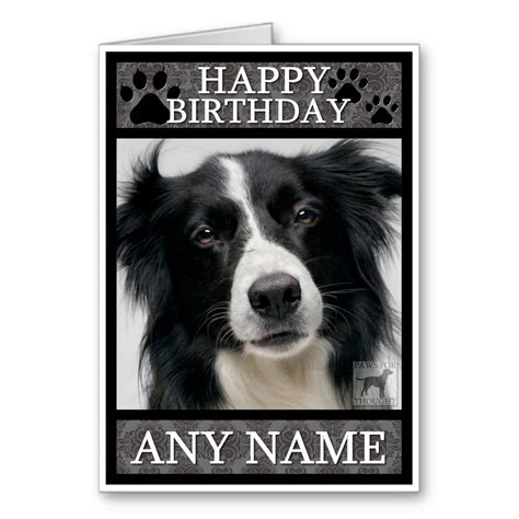 Border Collie Birthday Card Personalised A6 By Martynandwells