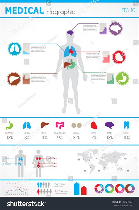 Medical Infographics Human Body With Internal Organs Stock Vector