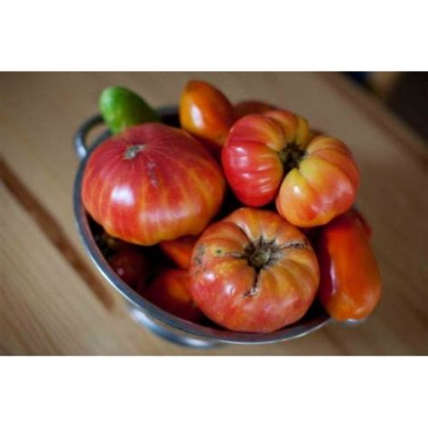 Tomato Mr Stripey Great Heirloom Garden Vegetable 35 Seeds Walmart