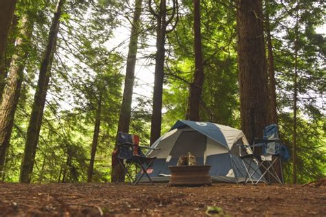 10 Tips To Improve Your Campground And Attract More Visitors