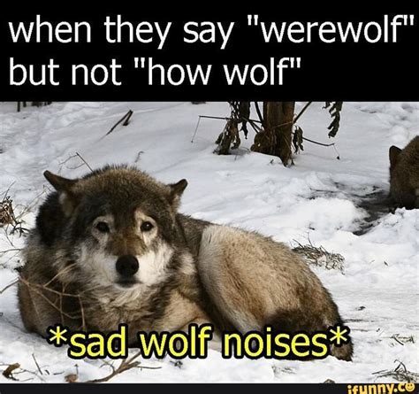 When They Say Werewolf But Not How Wolf Ifunny Funny Animal