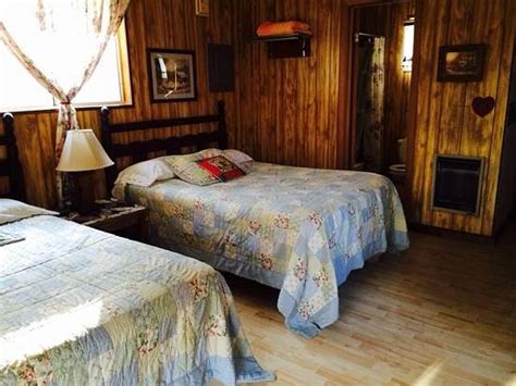 River Cove Cabins Rooms Pictures And Reviews Tripadvisor