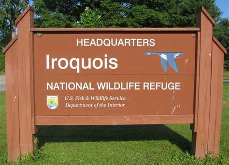 Iroquois National Wildlife Refuge New York States Largest Flickr