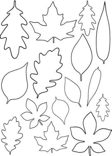 Осенние листочки для детей картинки Рисунок из листьев для 1 класса и