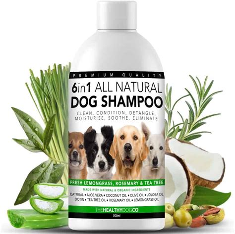 5 Best Dog Shampoos In The Uk For 2020 Dog Desires