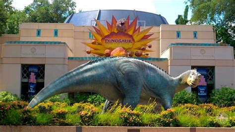 Dinosaur Ride At Disneys Animal Kingdom Complete Experience In 4k