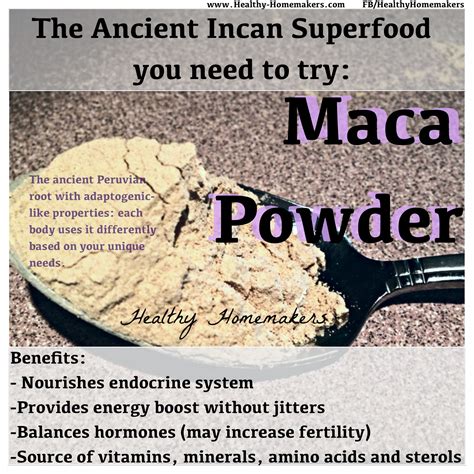 maca powder maca powder benefits maca maca powder