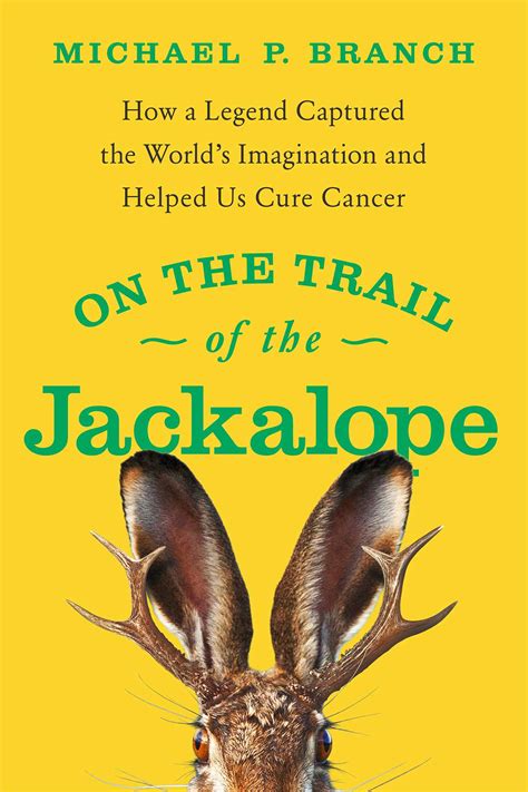 On The Trail Of The Jackalope How A Legend Captured The Worlds