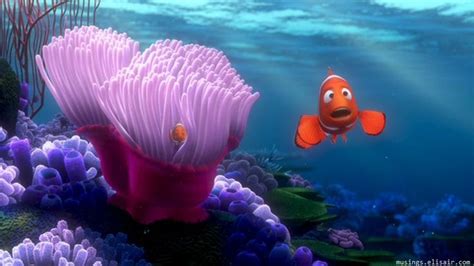 Finding Nemo There Are 37 Trillion Fish In The Ocean Theyre