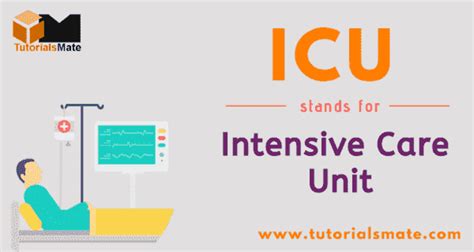 Icu Full Form What Is The Full Form Of Icu Tutorialsmate
