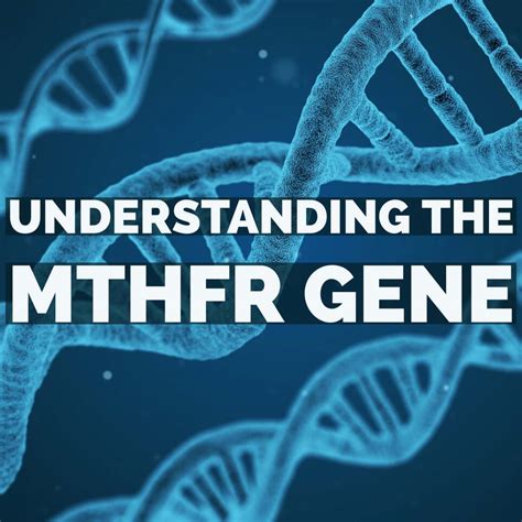 understanding the mthfr gene nature s institute