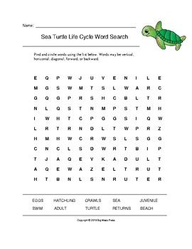 Turtle Word Search Printable