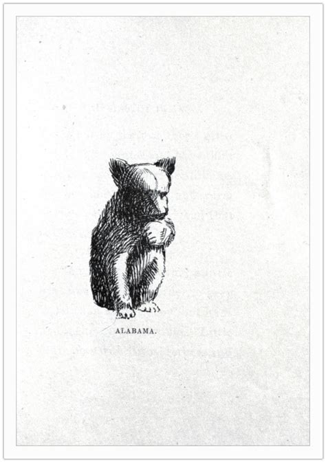 Alabama Bear Art Art Baby Bear Drawing