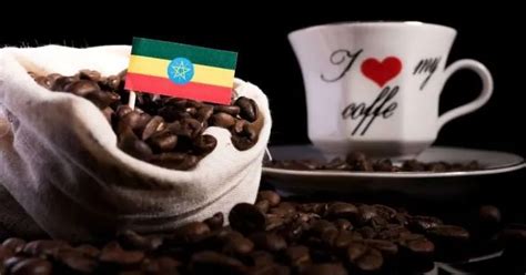 The 6 Best Ethiopian Coffee Picks Reviews And Guide