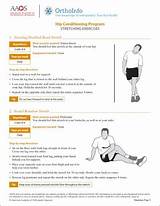 Hip Rehabilitation Exercises Photos