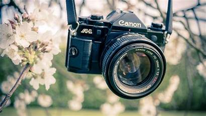 Canon Camera Garden Lens Flowers Resolutions 1freewallpapers
