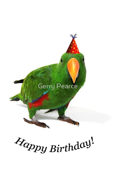 An Eclectus Parrot Happy Birthday By Gerry Pearce Redbubble