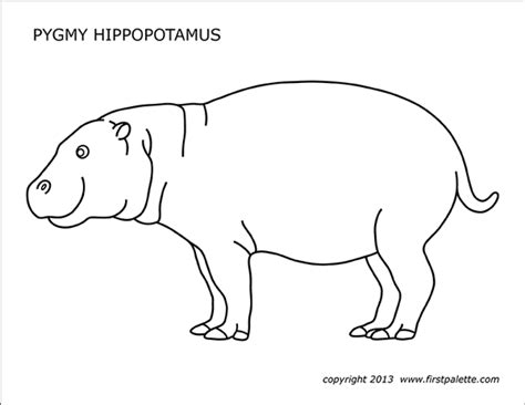 Pygmy Hippopotamus Free Printable Templates And Coloring Pages