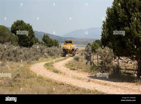 Cat Rescue Cutting Hi Res Stock Photography And Images Alamy