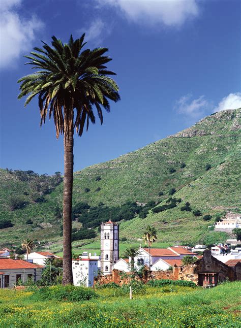 Tegueste Islas Canarias Tenerife