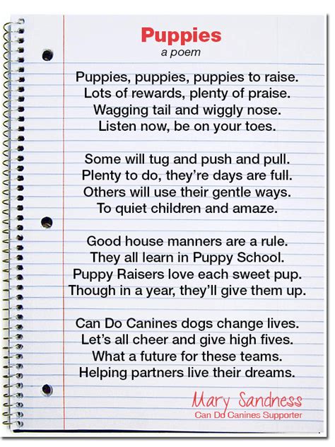 A Puppy Raising Poem Can Do Canines