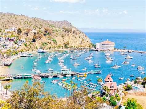 Things To See And Do On Catalina Island