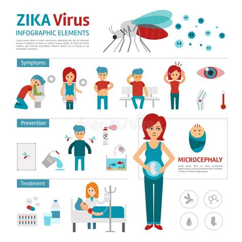 Virus Infographic Schritte Vektor Abbildung Illustration Von Infektion Mode