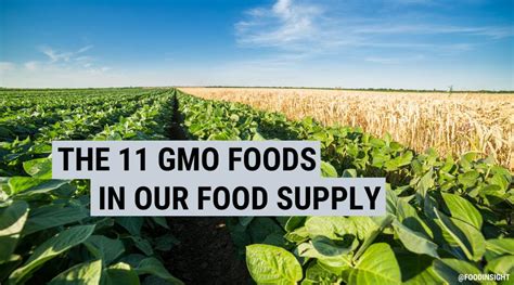 Genetically Modified Organisms And Our Food Supply Food Insight